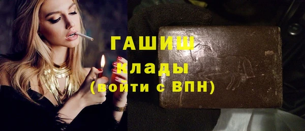стаф Пересвет