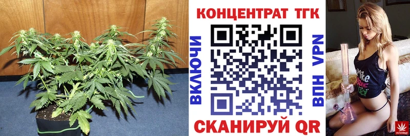 ТГК вейп Борзя