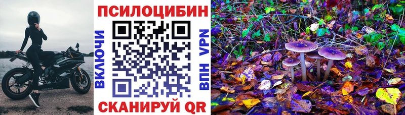 наркошоп  Борзя  Псилоцибиновые грибы GOLDEN TEACHER 